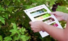 Lucrative color guide product Color Guide Product