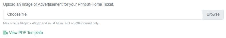 View PDF Ticket Template