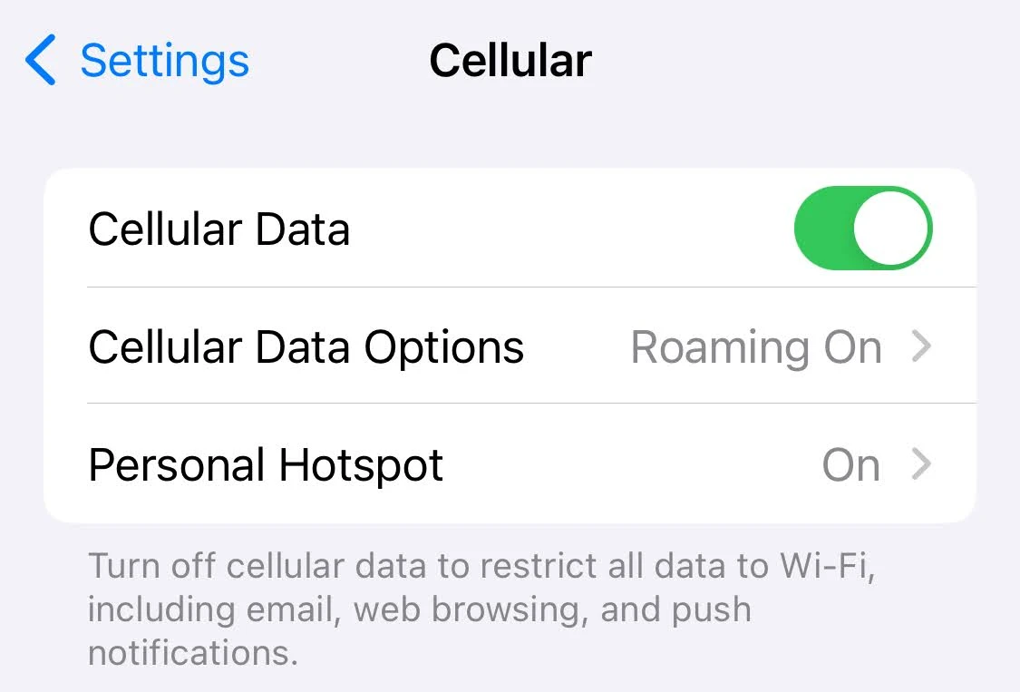 Cellular Data Settings on iPhone